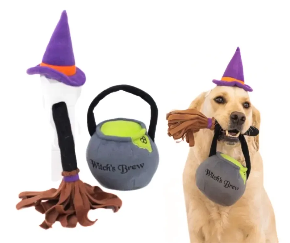 Zippy Paws Witches Costume