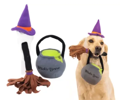 Zippy Paws Witches Costume