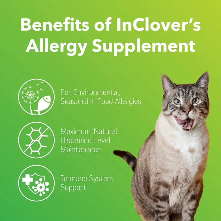 InClover Allergy Soothe + Support Powder Dog &amp; Cat Supplement