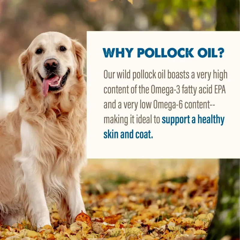 GRIZZLY DOG POLLOCK OIL 32OZ