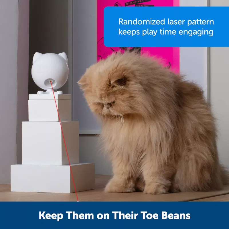 PetSafe Cat Dancing Dot Laser Toy