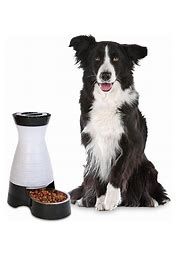 PetSafe Healthy Pet Food Station - Medium