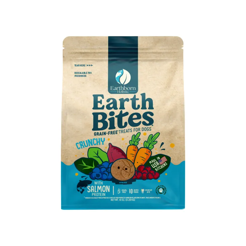 Earthborn EarthBites Crunchy Salmon &amp; Pumpkin Dog Treat 2# Grain Free