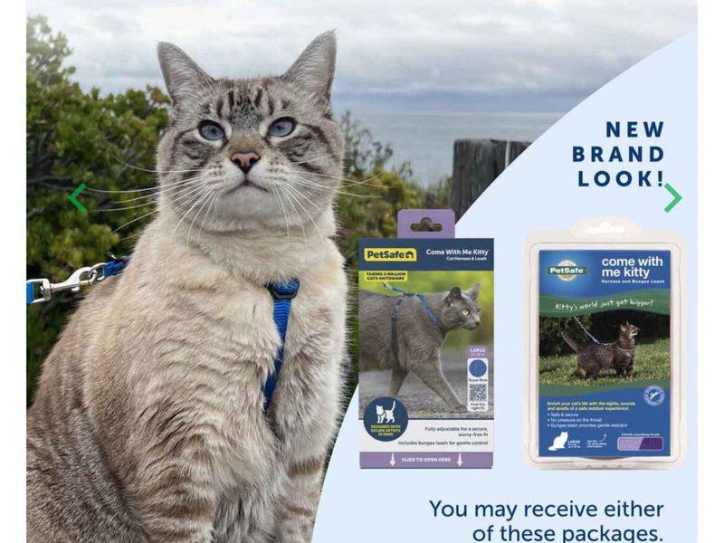 PetSafe Kitty Harness- Med