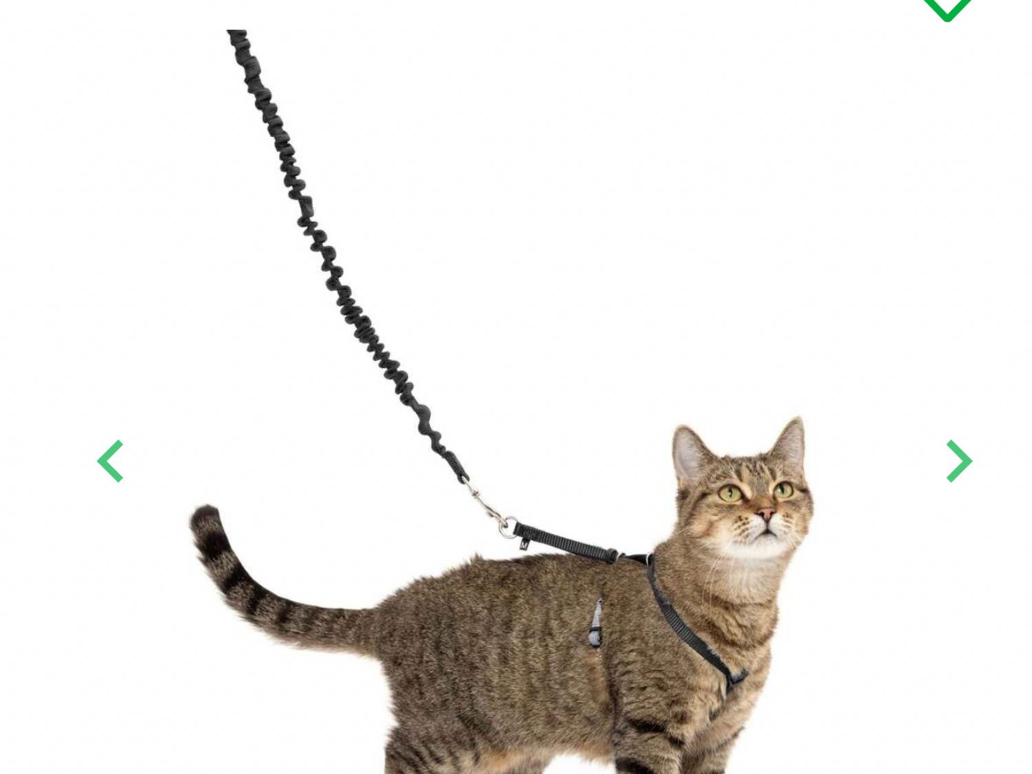 PetSafe Kitty Harness-Small