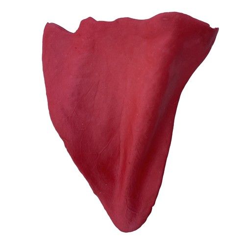 Cow Ear - Apple Cinnamon Flavor