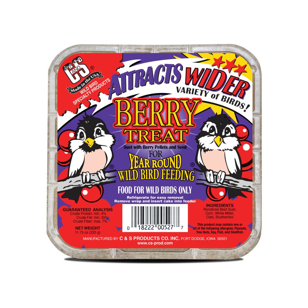 C &amp; S Berry Treat Suet