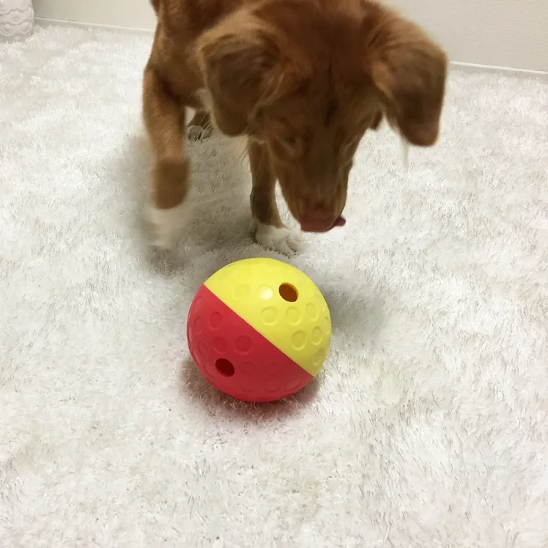 NO Interactive Treat Dog Puzzle Toy Red/Yellow Lrg Level 1