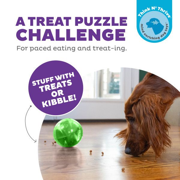 Planet Dog Orbee-Tuff Mazee Interactive Puzzle Dog Toy Green