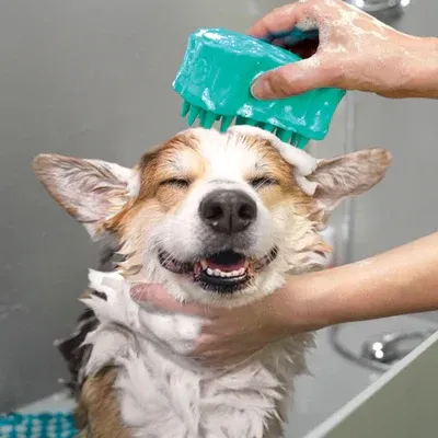 KONG ZoomGroom Bubbles Lrg