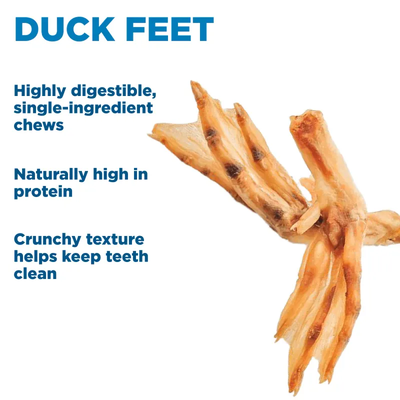 Duck Feet