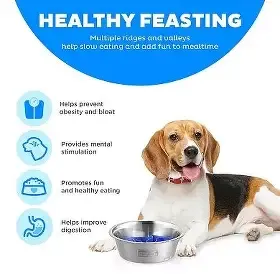 Outward Hound Fun Feeder Slo Bowl Stainless Steel Medium