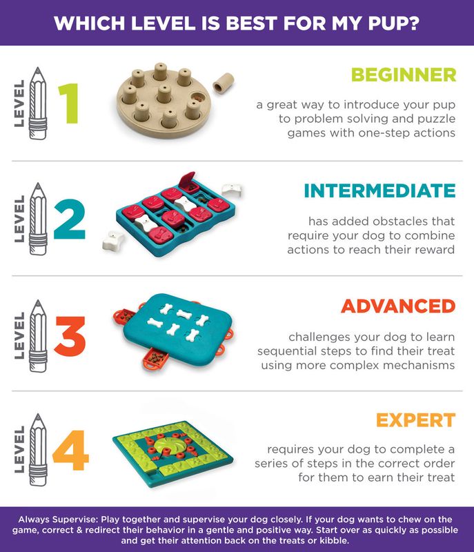 Outward Hound Nina Ottosson Treat Maze Puzzle for Dogs (Level 2 Intermediate)