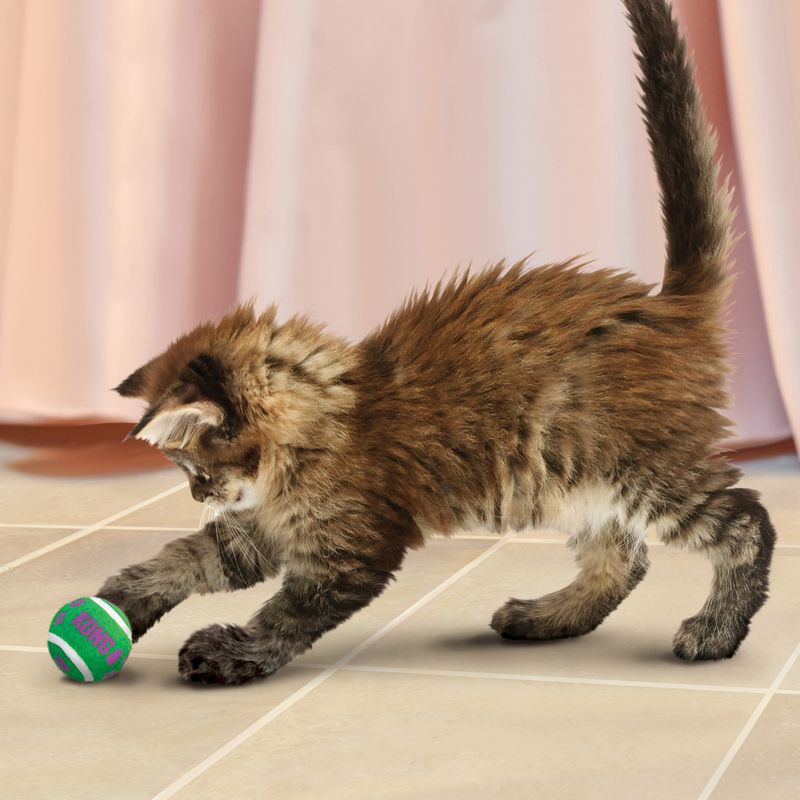 KONG Cat Tennis Ball w Bells
