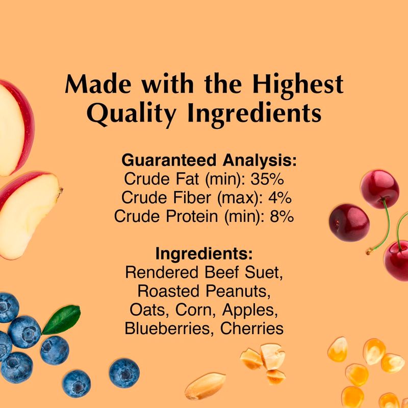 C &amp; S Fruit &amp; Nut Treat Suet