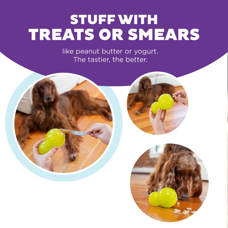 Planet Dog Double-Tuff Interactive Treat-Dispenser Dog Toy- Green Lrg