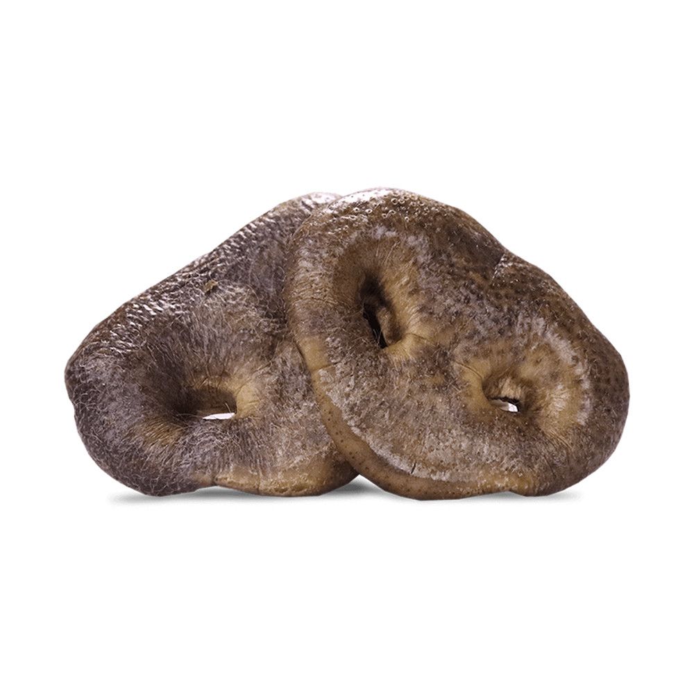 Snout- Raw Bar Pig Snout Chew