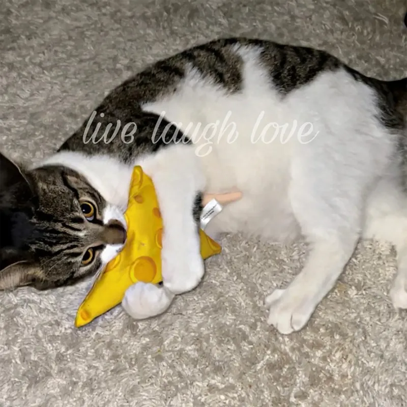 Meowijuana Get Cheezy Cheese &amp; Mouse Cat Toy