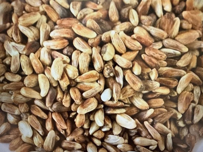 50# Safflower Seeds