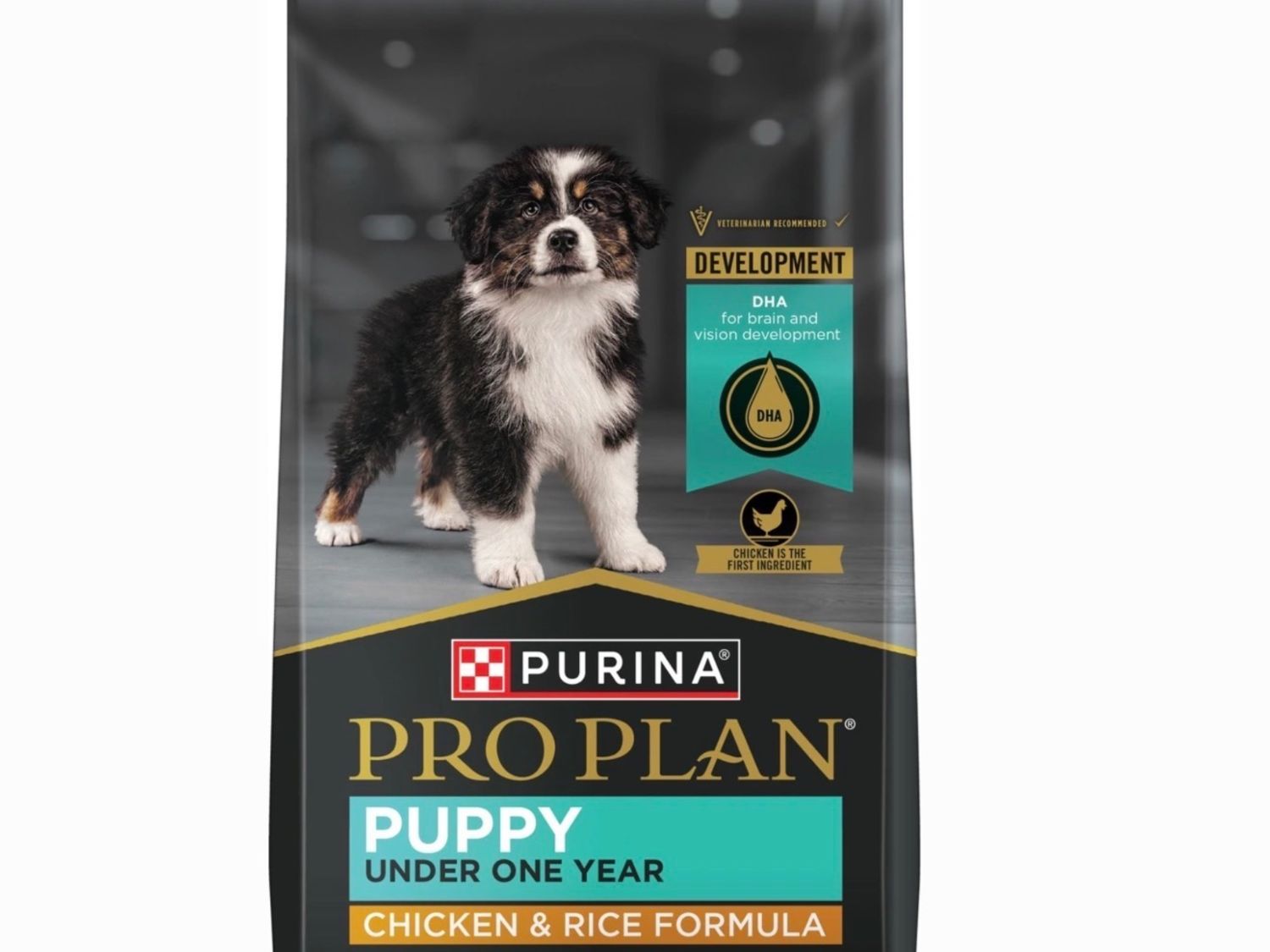 Purina Pro Plan 6# Puppy Chicken &amp; Rice