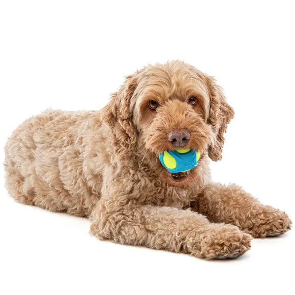 GURU Pet Company Tennis Max Ball Dog Med