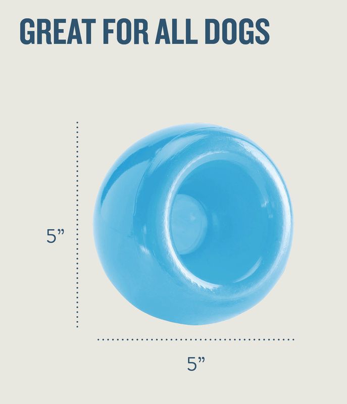 Planet Dog Orbee-Tuff Guru Treat-Dispensing Puzzle Dog Toy Blue