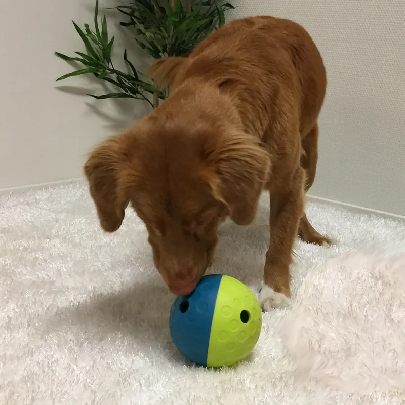 NO Treat Tumble Interactive Treat Dog Puzzle Blue/Green Small level 1