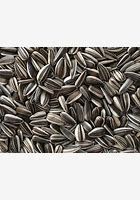 Striped Sunflower Seeds Bird Seed