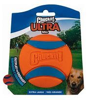 CHUCK IT XL ULTRA BALL