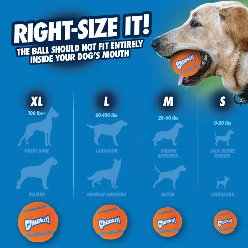 CHUCK IT XL ULTRA BALL
