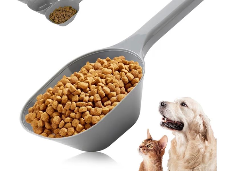 Food Scoop