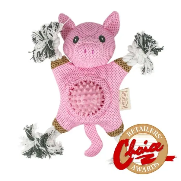 FUN AT FAIR BIN PIG DOG TOY