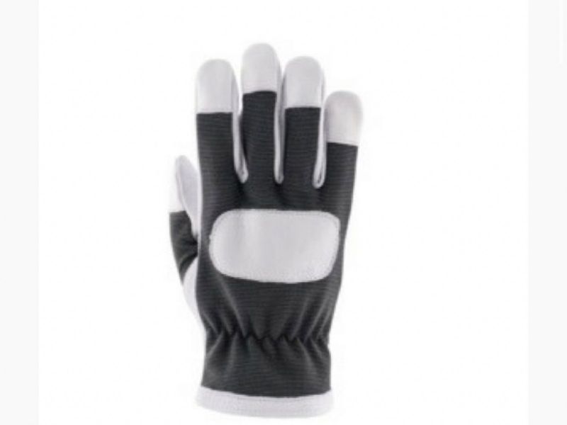 782378 GOATSKIN STRETCH GLOVE  WITH SPANDEX BACK-11's