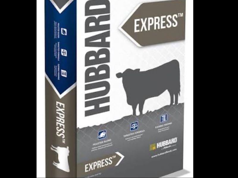 3W67-50# Express 32 B400