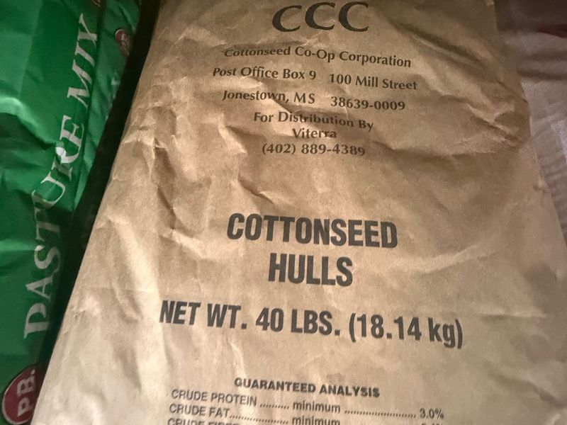 40# COTTON SEED HULLS