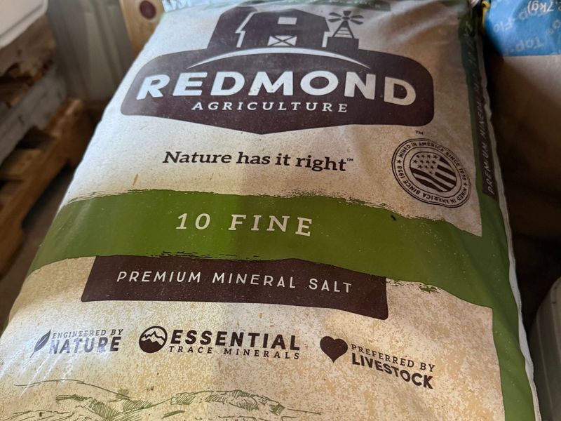 50# REDMOND 10 FINE SALT