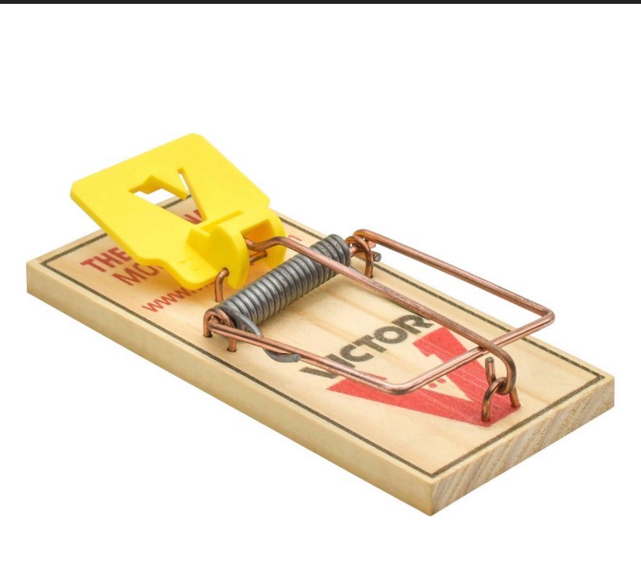 MOUSE TRAPS