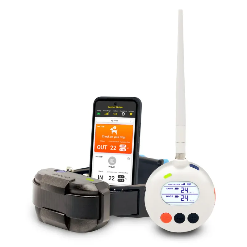 DOGTRA SMART FENCE 1 DOG SYSTEM- PREORDER