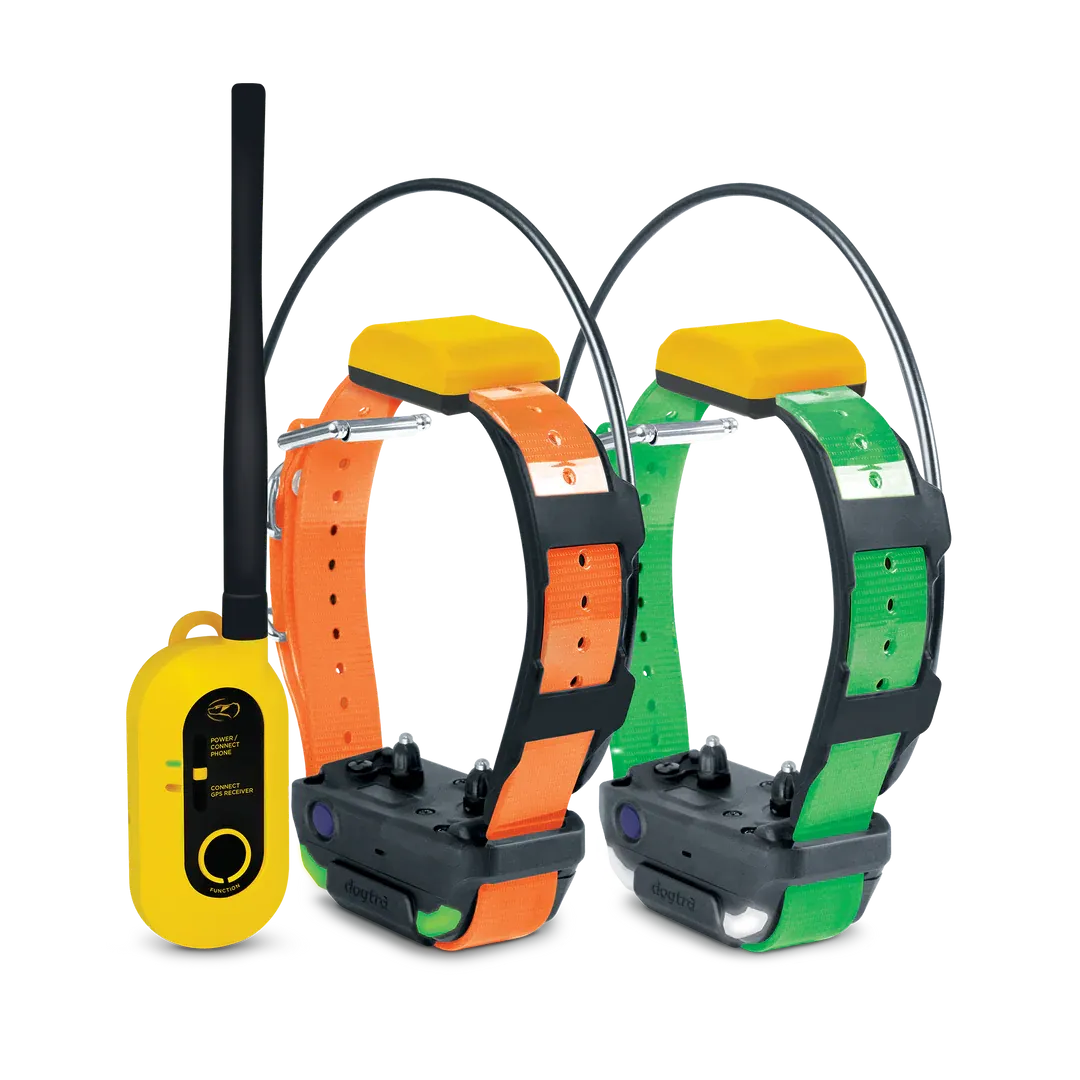 DOGTRA GPS PATHFINDER2 COMPASS 2 DOG BUNDLE-PREORDER