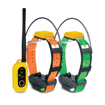 DOGTRA GPS PATHFINDER2 COMPASS 2 DOG BUNDLE-PREORDER