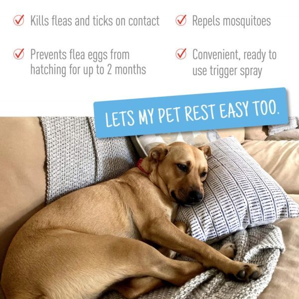 Adams Plus Flea &amp; Tick Spray 32oz
