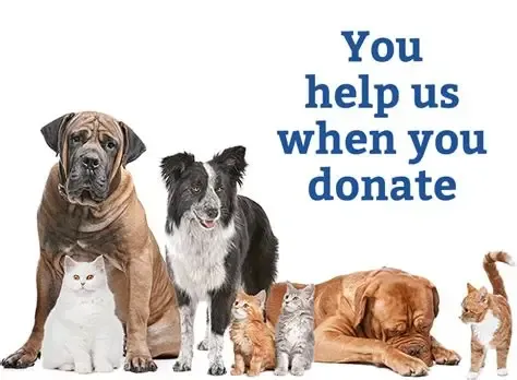 DONATIONS FOR LOCAL ANIMAL SHELTER
