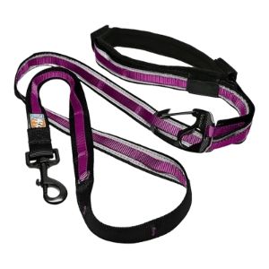 Kurgo Quantum Leash Velvet