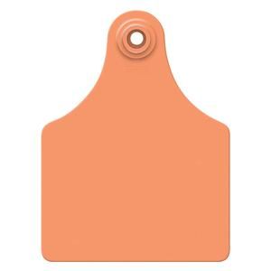 AllFlex Global Maxi Orange Blank Ear Tag 25ct