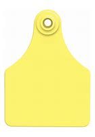 AllFlex Global Large Yellow Blank Ear Tag 25Ct