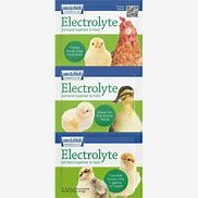 Sav-A-Chick Electrolyte 3pk