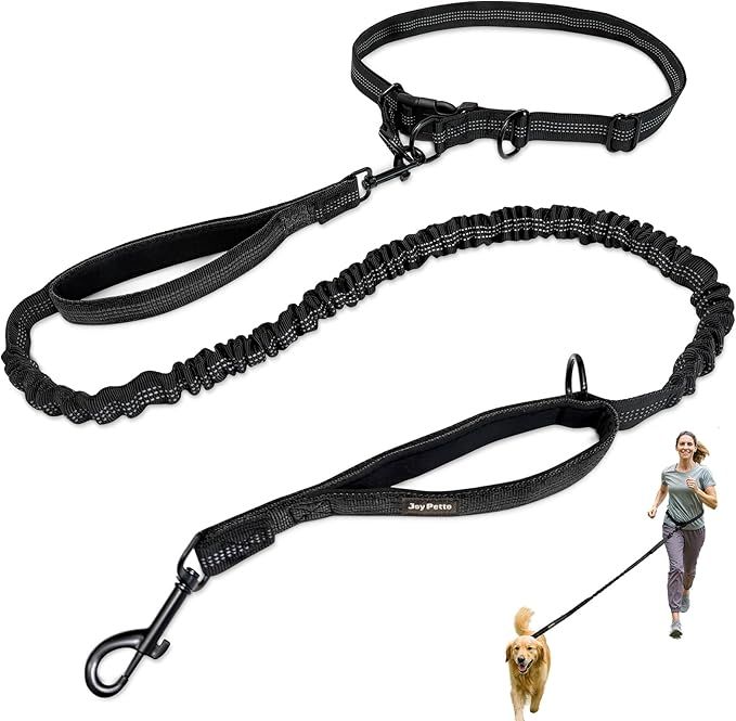 Spyder 10" Hands Free Reflective Bungee Leash- Black