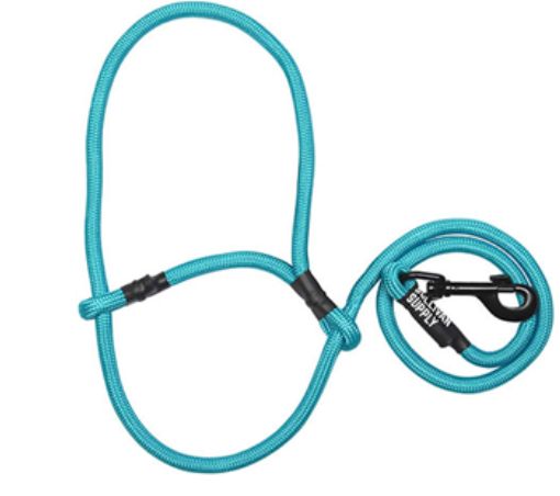 Sheep/Goat Halter w/ Snap Lead Teal