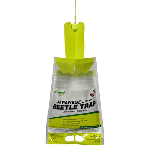 Rescues Japanese &amp; Oriental Beetle Trap