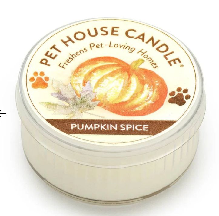 Pet House Mini Candle Pumpkin Spice
